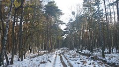 024_0062_3D_P1380387