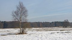 036_0098_3D_P1380396