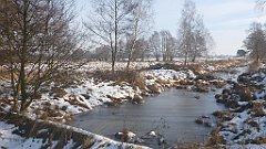 043_0119_3D_P1380401