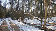 058_0164_3D_P1380417