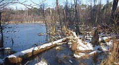 114_0332_3D_P1380444