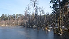 122_0352_3D_P1380447