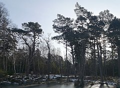 125_0359_p20_IMG_20230209_111832