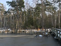 129_0380_iP_230209_IMG_6568