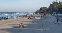 186_0548_3D_P1380483