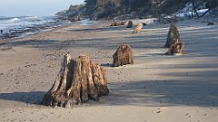 188_0554_3D_P1380485