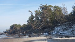 194_0572_3D_P1380489