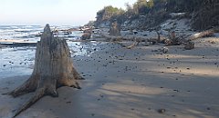 199_0587_3D_P1380493