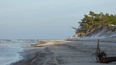 263_0779_FZ72_P1080101