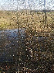 021_p20_IMG_20230406_174305