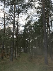 041_iP_230414_IMG_6682