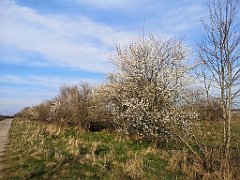 061_p20_IMG_20230414_172956