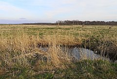 091_p20_IMG_20230414_181051