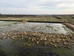 103_iP_230414_IMG_6684