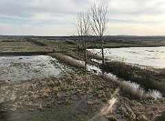 105_iP_230414_IMG_6685