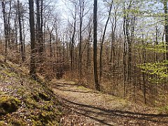 053_p20_IMG_20230423_125611