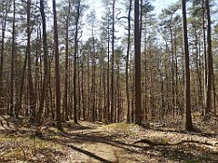 108_p20_IMG_20230423_140549