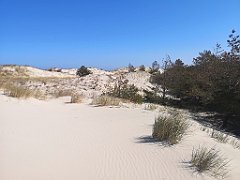 047_p20_IMG_20230430_095948