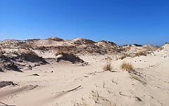 080_p20_IMG_20230430_111515