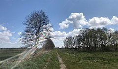 153_iP_230430_IMG_6719