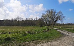 225_p20_IMG_20230430_141154