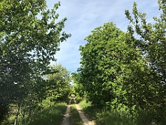 030_iP_230529_IMG_6753