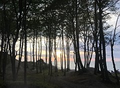 102_iP_230529_IMG_6773