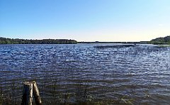 041_p20_IMG_20230602_093427