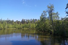 060_p20_IMG_20230602_095605