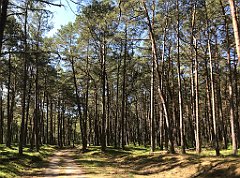 069_iP_230602_IMG_6805