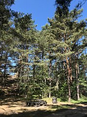 070_iP_230602_IMG_6806