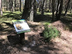 093_iP_230602_IMG_6810