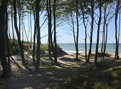 201_iP_230602_IMG_6819