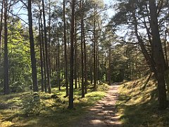 209_iP_230602_IMG_6821