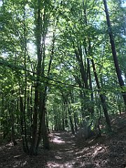 210_iP_230602_IMG_6823