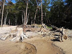 230_p20_IMG_20230602_165737