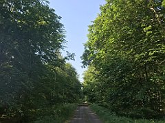 054_iP_230608_IMG_6833