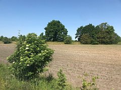 098_iP_230608_IMG_6838