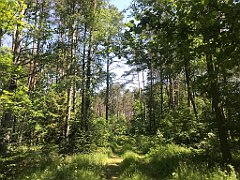 136_iP_230608_IMG_6847