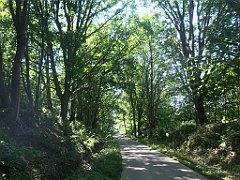 201_iP_230608_IMG_6854