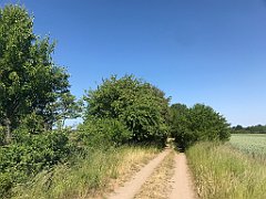 213_iP_230608_IMG_6855