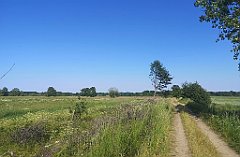 216_p20_IMG_20230608_155540