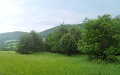 056_p20_IMG_20230618_144722