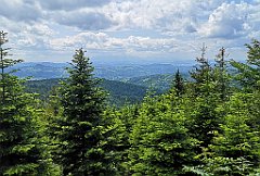 136_p20_IMG_20230619_131942