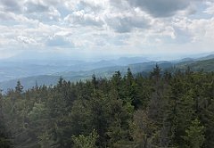 241_ip_230619_IMG_6928