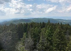 246_ip_230619_IMG_6924