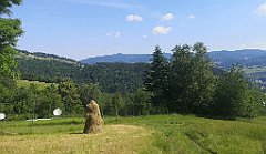 021_p20_IMG_20230620_094849