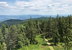 104_ip_230620_IMG_6964