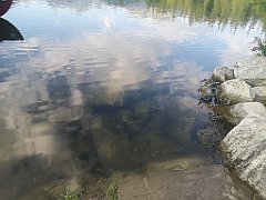 341_p20_IMG_20230821_180132