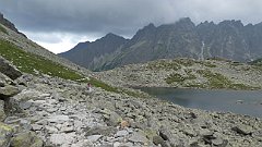 2023_08_22_Zabia_Dolina